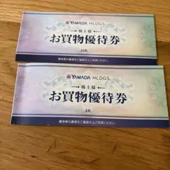 ヤマダホールディングス優待券