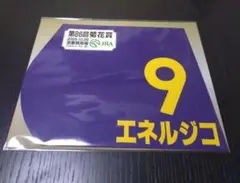 第86回菊花賞 出走馬ミニゼッケン 9 エネルジコ