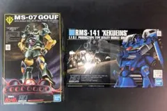 HG ガンプラ 2点セット グフ リアルタイプ&ゼクアイン HG ガンプラ 2点セット グフ リアルタイプ&ゼクアイン - メルカリ