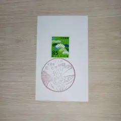 あふぼん様 リクエスト 6点 まとめ商品