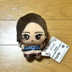 2026年最新】aespa カリナ ぬいぐるみの人気アイテム - メルカリ