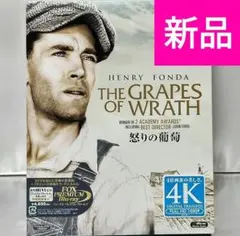 Item thumbnail for item 383b74fa-e12a-419f-9e94-d34521fe000d