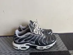 Nike Air Max Plus グレー/ホワイトのサムネイル