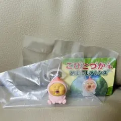 こびどづかん　めじるしフレンズ　カクレモモジリ　めじるしアクセサリー
