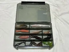 Item thumbnail for item 0cd8c1d9-e1bc-47d7-bf3d-c329866c64fa