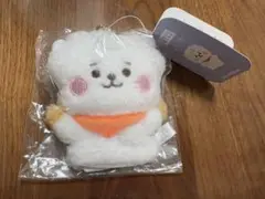 BT21 - BT21  ベーシックたっとん S ハット　CHIMMY &amp; RJセット BT21 公式 たっとんぬいぐるみS ベーシックタイプ アールジェイ