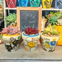 chiruya リメイク鉢 2個 多肉植物 作家鉢 植木鉢 used - メルカリ