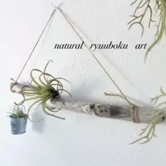 Item thumbnail for item 7500473b-6ef7-4f2f-9702-29e590408639