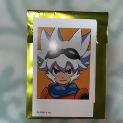 イナズマイレブン ミニフォトカード メディコス SARU イナイレ サル
