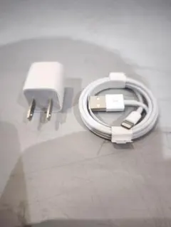 Apple 정품 iPhone 충전기 5W Lightning 케이블 미사용