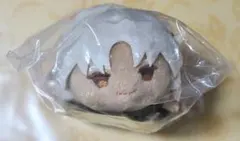 Fate/Grand Order　もちマス　天草四郎