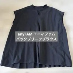 anyFAM エニィファム　【洗濯機可】バックプリーツブラウスのサムネイル