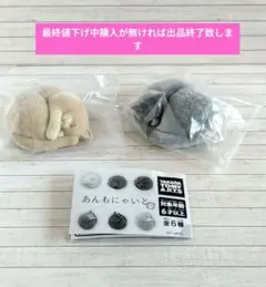 2025年最新】須田アンナの人気アイテム - メルカリ