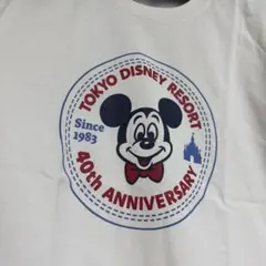 東京ディズニーリゾート 40周年 Tシャツ コンバースコラボ 希少