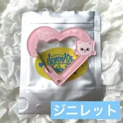 straykids スキズ ソウル CelebrATE カラビナ ジニレット