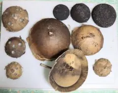 空(ソラ)からの贈り物】長岡大花火の思い出(残骸品:その5) - メルカリ