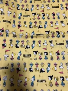 じーこ様 リクエスト 2点 まとめ商品