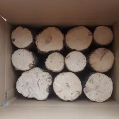 Item thumbnail for item 40c4d679-9cbc-43b3-93f8-492dab8765b5