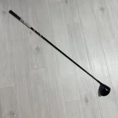 Item thumbnail for item 5fa4b352-7254-4b46-ae65-e30eb661bae3