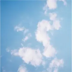 【専用】d.i.a ファーセットアップ よろしくお願いします。