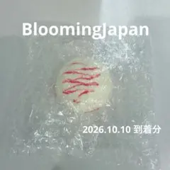 BloomingJapan いちご　アイスクリームボウル　ミニ
