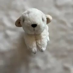 Item thumbnail for item 8ebb55af-f755-45ab-b9a0-d4ca2b557ae2