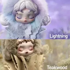 POPMART SKULLPANDA Limpressionnisme2点セット