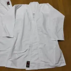 Item thumbnail for item c4adb1bc-6191-48c5-aeba-ca265c535f87