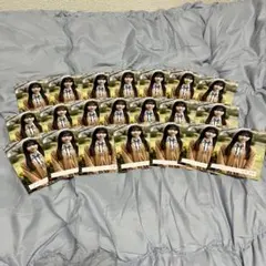 Item thumbnail for item 54e39a4e-2198-470a-9445-808edeaaf42a