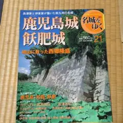 Item thumbnail for item 969dbd9f-5b2c-4da7-b967-7326ec4f5236