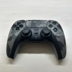 ps5 ワイヤレスコントローラー 迷彩