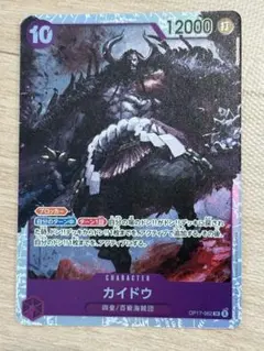 カイドウ SR 世界最強の戦士
