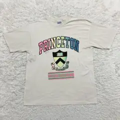 《80s90s良色珍品早い者勝ち》カレッジロゴtシャツヘインズ旧タグプリンストン