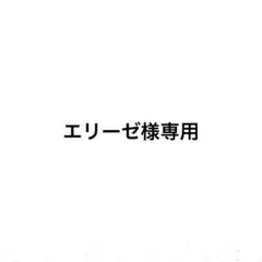 エリーゼ様専用