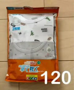 新品 ファイバーヒート 速乾 あったか 長袖 インナー 恐竜柄 2枚組 120