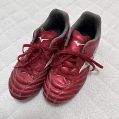 Mizuno Monarcida スパイク　21cmのサムネイル