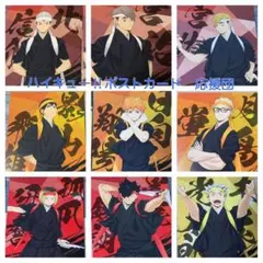 ハイキュー ポストカード　レア　13枚　お買い得　応援団　1枚からでもOKです☺︎