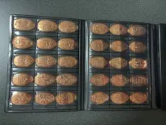 ディズニー スーベニアメダル 82枚 スーベニアメダルケース付