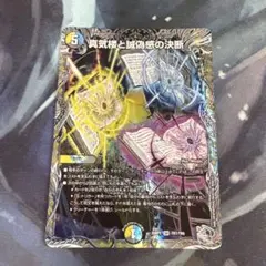 真気楼と誠偽感の決断 パーフェクトペテンシー 銀トレジャー - メルカリ