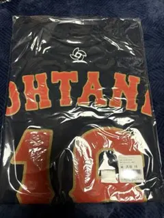 日本代表 侍ジャパン 2023WBCナンバーTシャツ　大谷翔平16 M ミズノ