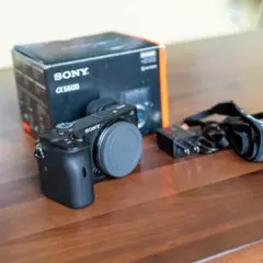 SONY α 6100 【美品】 純正バッテリー2個、シャッター3083 元箱付