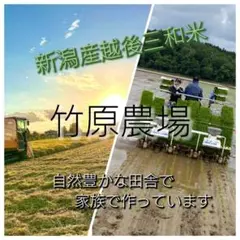 送料込み 竹原農場 新潟県産えちご三和米　令和7年産みずほの輝き 玄米30キロ 送料込み 竹原農場 新潟県産えちご三和米 令和7年産みずほの輝き 玄米