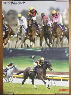 ジェンティルドンナ　A1サイズポスター　2012年桜花賞　オークス　競馬　競走馬