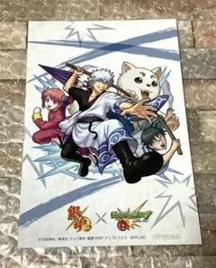 銀魂　ポストカード　銀時　新八　神楽　定春　銀魂展　202604022109