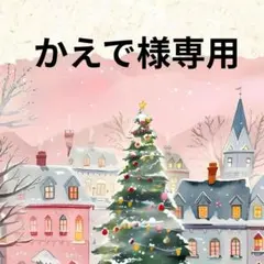 かえで様専用ページ