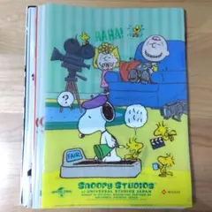 Item thumbnail for item 6f6cca1b-3783-4095-a29f-acbf74c8a94c