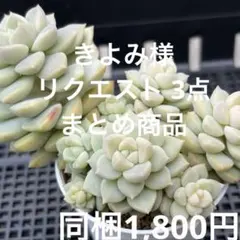 きよみ様 リクエスト 3点 まとめ商品
