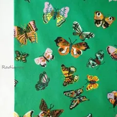 SALE270.ナタリーレテ☆蝶々☆USAコットン☆シーチング☆布生地☆グリーン