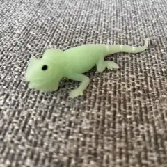 アンドコアボットモリドラゴン