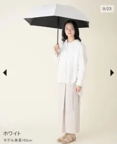 サンバリア100 長傘 Lサイズ コンビ モスグレー - メルカリ
